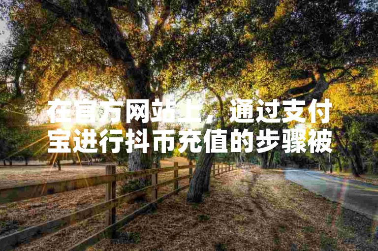 在官方网站上，通过支付宝进行抖币充值的步骤被详细解析。