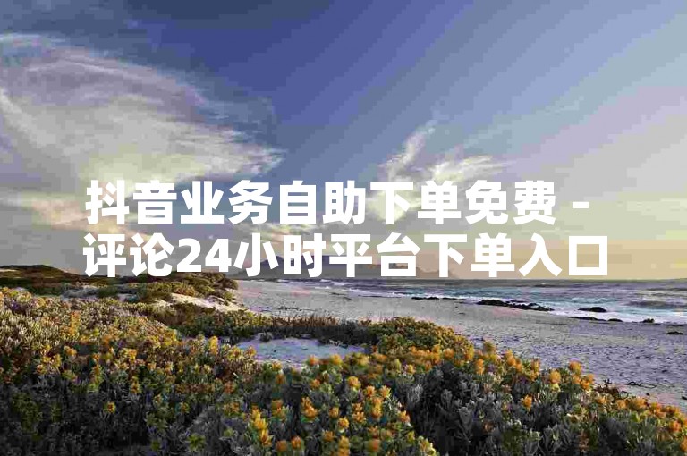 抖音业务自助下单免费 - 评论24小时平台下单入口