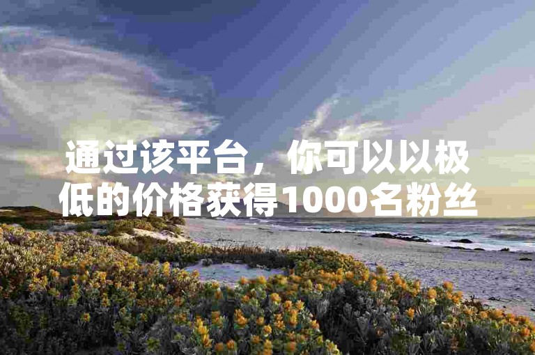 通过该平台，你可以以极低的价格获得1000名粉丝，同时还能免费获取30个QQ说说赞，并享受QQ超级会员代充服务以及免费下载王多鱼打麻将游戏。