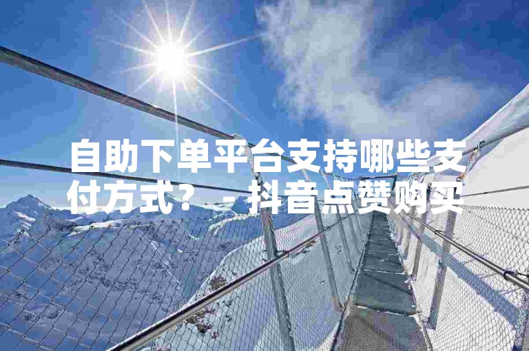 自助下单平台支持哪些支付方式？ - 抖音点赞购买，快手赞快速到账服务网站。