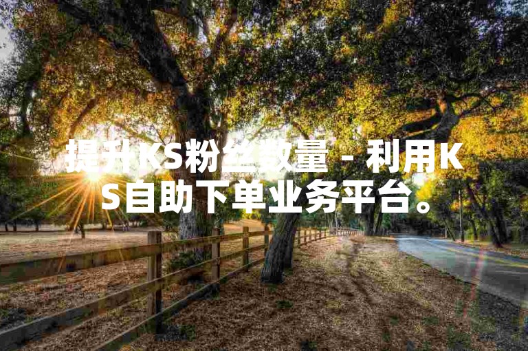 提升KS粉丝数量 - 利用KS自助下单业务平台。