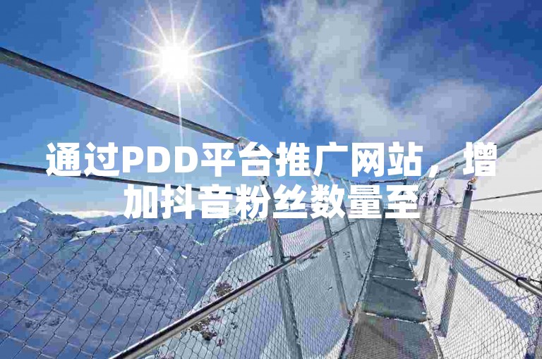 通过PDD平台推广网站，增加抖音粉丝数量至500人，并利用网红业务平台提供的全天候服务来实现这一目标。