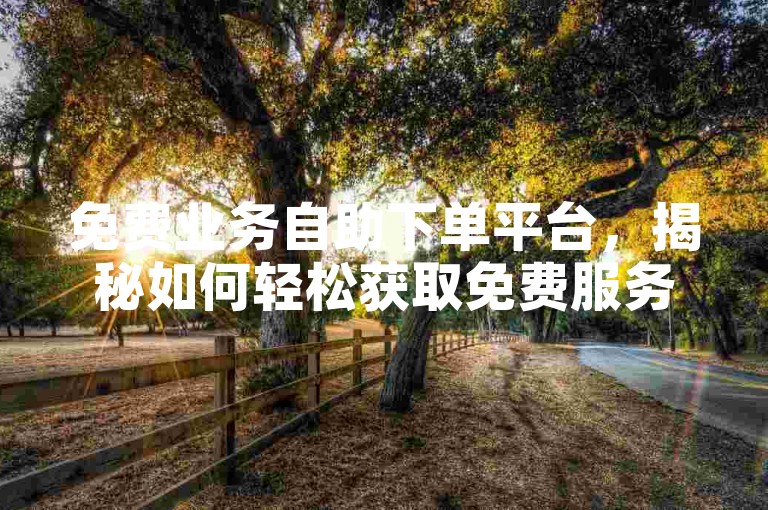 免费业务自助下单平台，揭秘如何轻松获取免费服务，2025年必备技能！