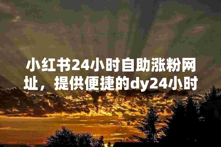 小红书24小时自助涨粉网址，提供便捷的dy24小时自助下单平台网站蚂蚁服务。