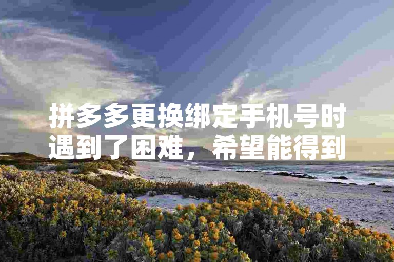 拼多多更换绑定手机号时遇到了困难，希望能得到帮助。