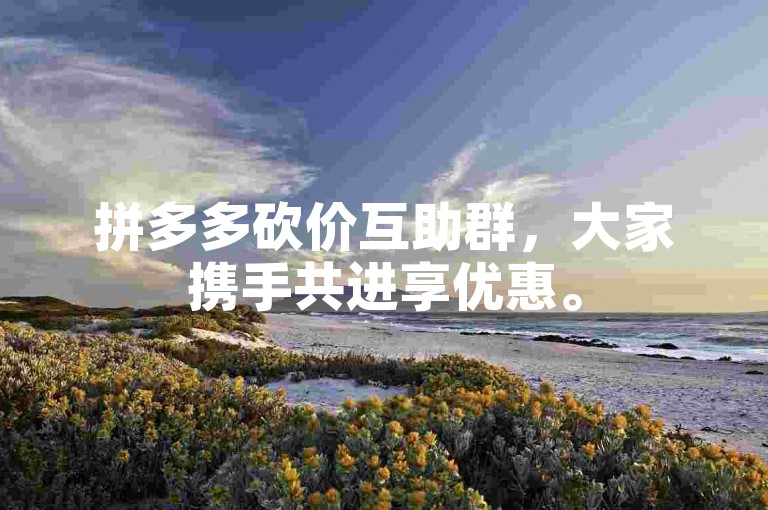 拼多多砍价互助群，大家携手共进享优惠。