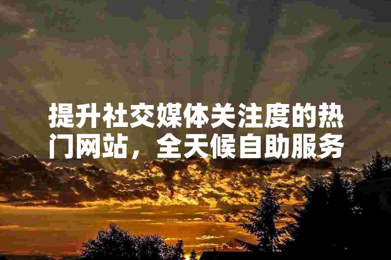 提升社交媒体关注度的热门网站，全天候自助服务助力快速增粉。
