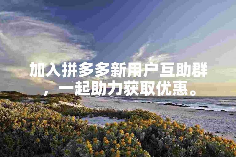 加入拼多多新用户互助群，一起助力获取优惠。