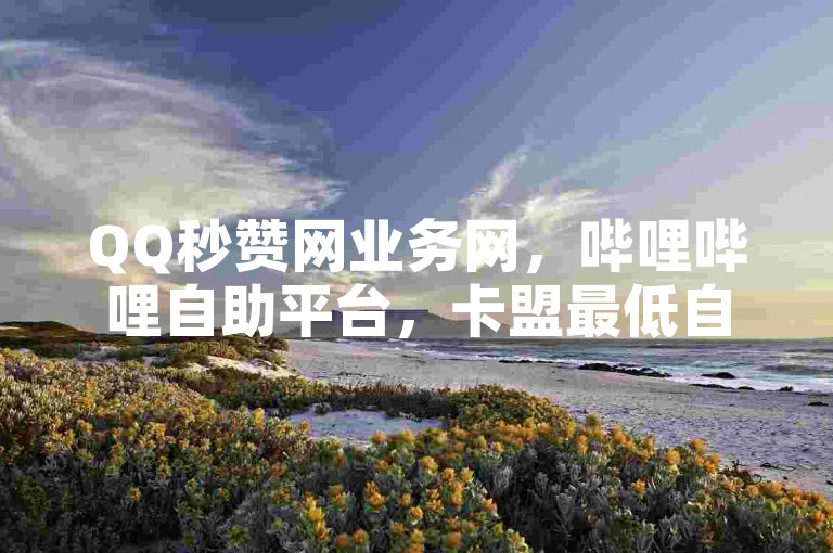 QQ秒赞网业务网，哔哩哔哩自助平台，卡盟最低自助下单官网。