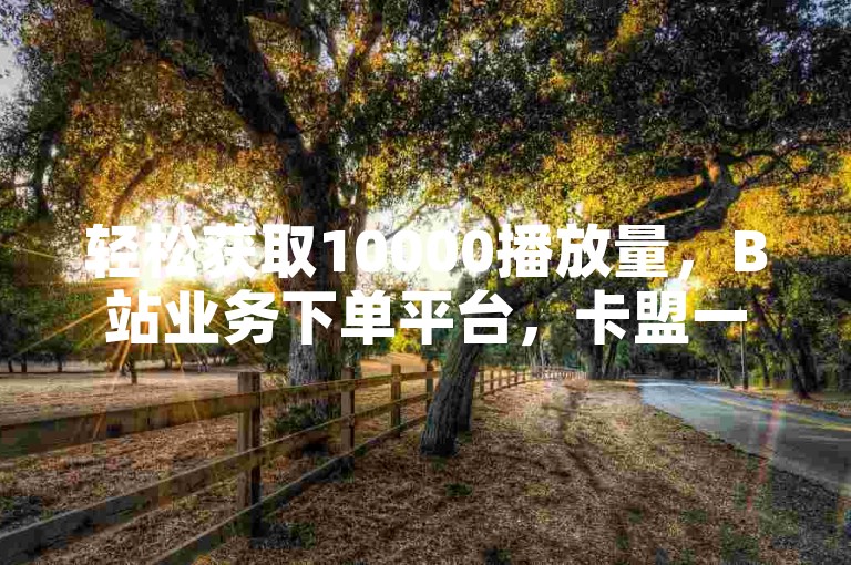 轻松获取10000播放量，B站业务下单平台，卡盟一手货源网站等你来！