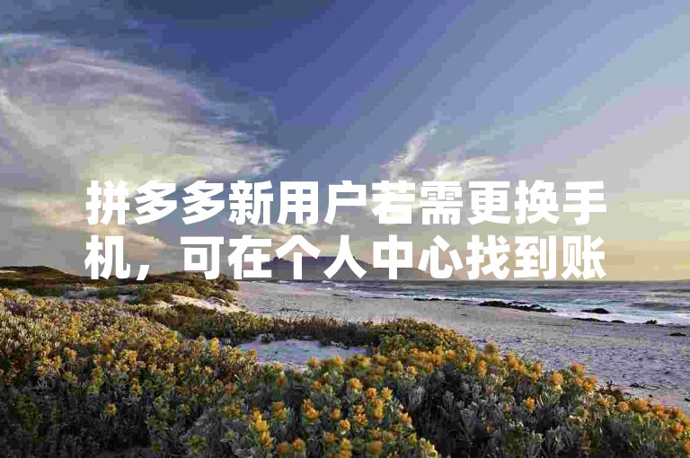 拼多多新用户若需更换手机，可在个人中心找到账号安全选项，按提示进行手机号更换操作。