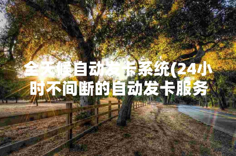 全天候自动发卡系统(24小时不间断的自动发卡服务)