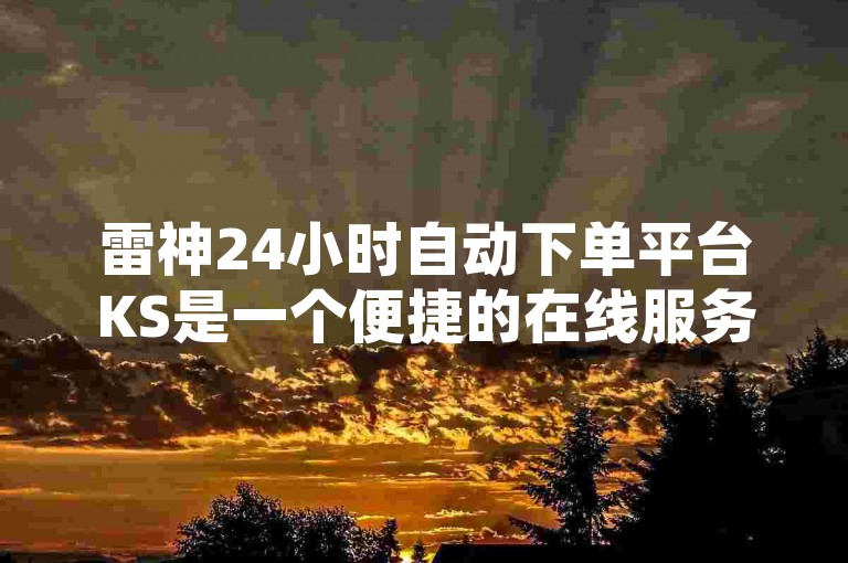 雷神24小时自动下单平台KS是一个便捷的在线服务系统，旨在为用户提供全天候无缝的订单处理体验。