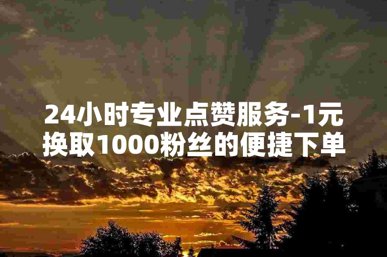 24小时专业点赞服务-1元换取1000粉丝的便捷下单平台。
