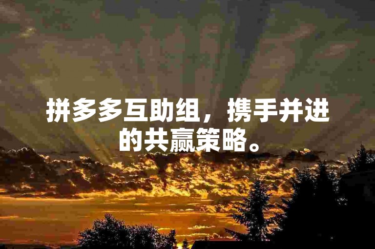 拼多多互助组，携手并进的共赢策略。