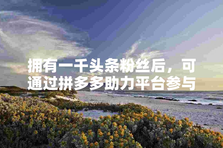 拥有一千头条粉丝后，可通过拼多多助力平台参与活动获取收益；而在抖音上刷粉丝虽能增加数量，但实际上并无实质用处。