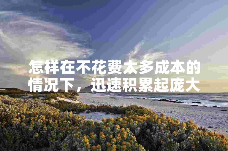 怎样在不花费太多成本的情况下，迅速积累起庞大的抖音粉丝群体，让粉丝数急剧上升？