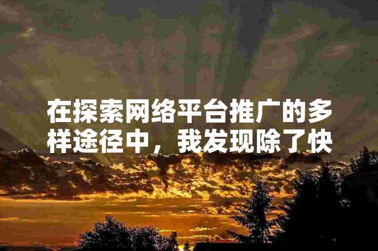 在探索网络平台推广的多样途径中，我发现除了快手播放量的提升外，利用百度贴吧进行内容分享和在B站单独购买推广服务也是增加曝光度的有效方法，同时，拼多多作为电商平台，其极速模式也为产品销售带来了新的机遇。