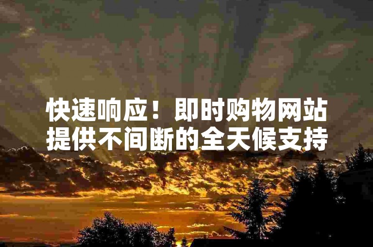 快速响应！即时购物网站提供不间断的全天候支持。