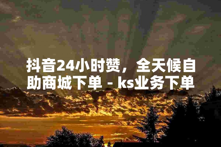 抖音24小时赞，全天候自助商城下单 - ks业务下单 - 卡盟网。