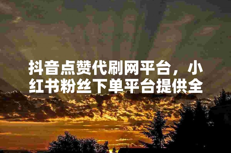 抖音点赞代刷网平台，小红书粉丝下单平台提供全网最实惠的服务。