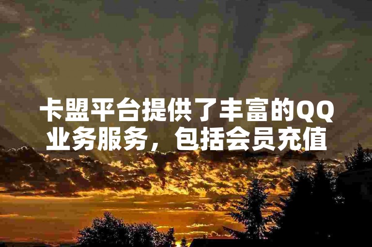 卡盟平台提供了丰富的QQ业务服务，包括会员充值、黄钻开通等。