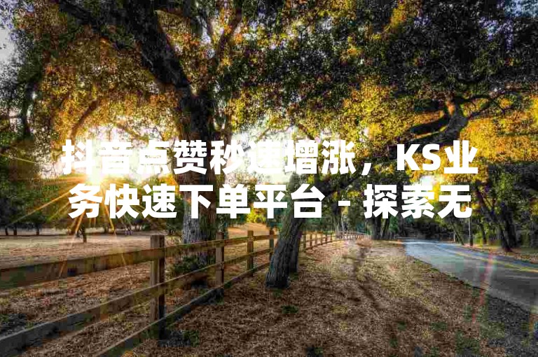 抖音点赞秒速增涨，KS业务快速下单平台 - 探索无限可能的dy业务自助入口官网。