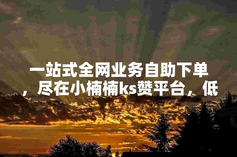 一站式全网业务自助下单，尽在小楠楠ks赞平台，低价高效。