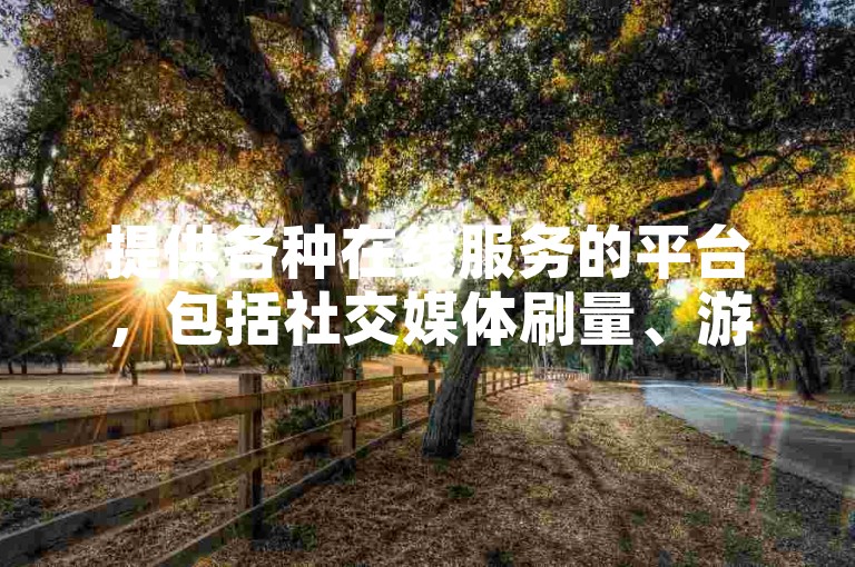 提供各种在线服务的平台，包括社交媒体刷量、游戏道具获取以及虚拟货币充值等。
