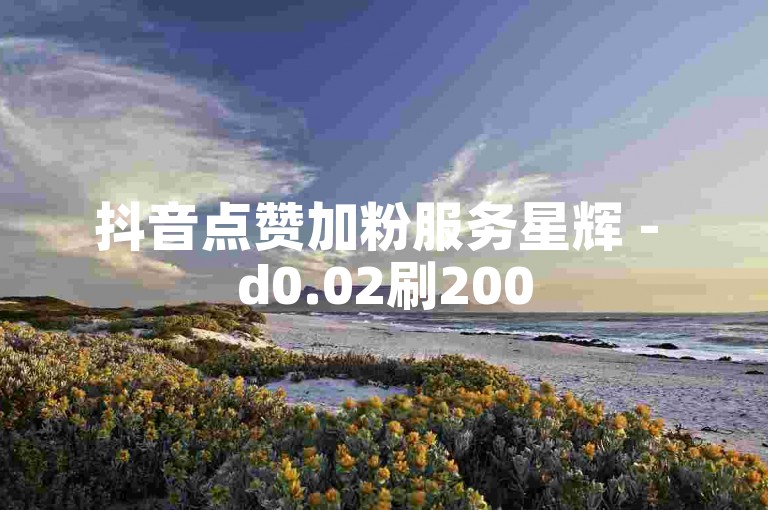 抖音点赞加粉服务星辉 - d0.02刷200