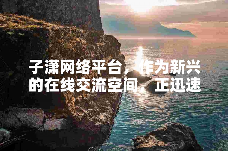 子潇网络平台，作为新兴的在线交流空间，正迅速成为数字时代下人们互动的新宠。