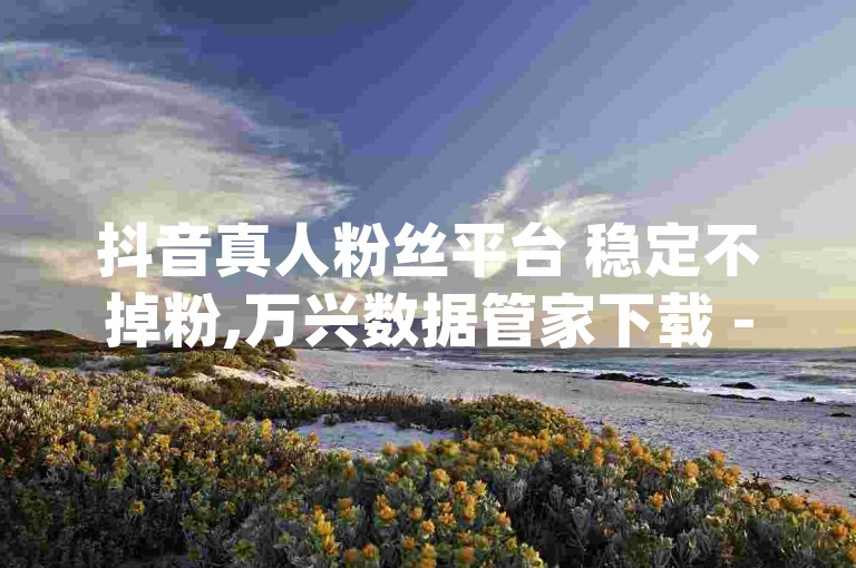 抖音真人粉丝平台 稳定不掉粉,万兴数据管家下载 - 一元买赞app - 快手活粉