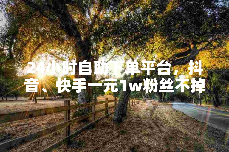 24小时自助下单平台，抖音、快手一元1w粉丝不掉粉的秘诀 - 专业抖音低价下单网站，快手双击平台ks下单，稳定高效！