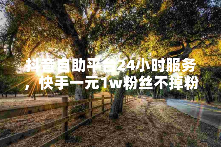 抖音自助平台24小时服务，快手一元1w粉丝不掉粉的秘诀 - ks业务平台网站，QQ空间访问量免费提升的方法。