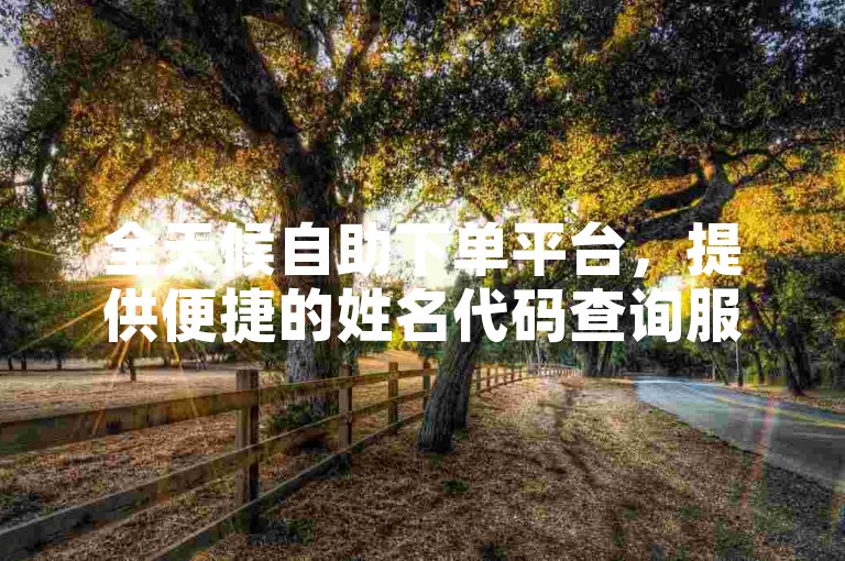 全天候自助下单平台，提供便捷的姓名代码查询服务。