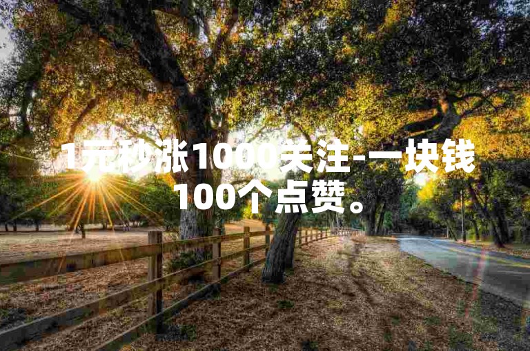 1元秒涨1000关注-一块钱100个点赞。