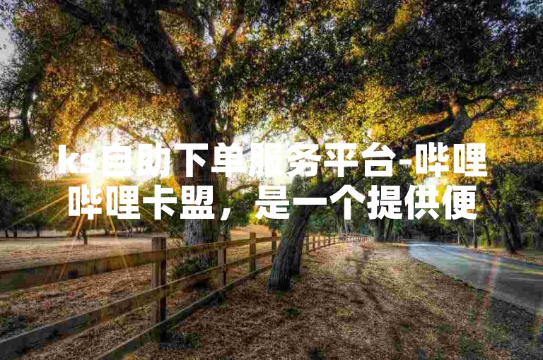 ks自助下单服务平台-哔哩哔哩卡盟，是一个提供便捷下单服务的在线平台。