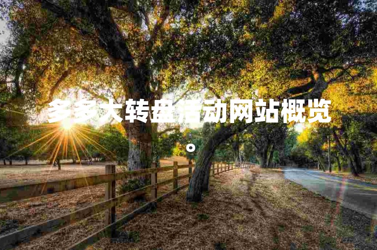 多多大转盘活动网站概览。