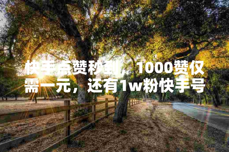 快手点赞秒到，1000赞仅需一元，还有1w粉快手号等你来购。