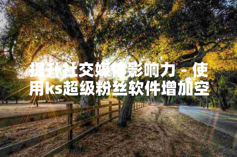 提升社交媒体影响力 - 使用ks超级粉丝软件增加空间访客量。