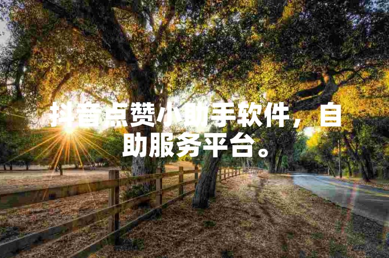 抖音点赞小助手软件，自助服务平台。