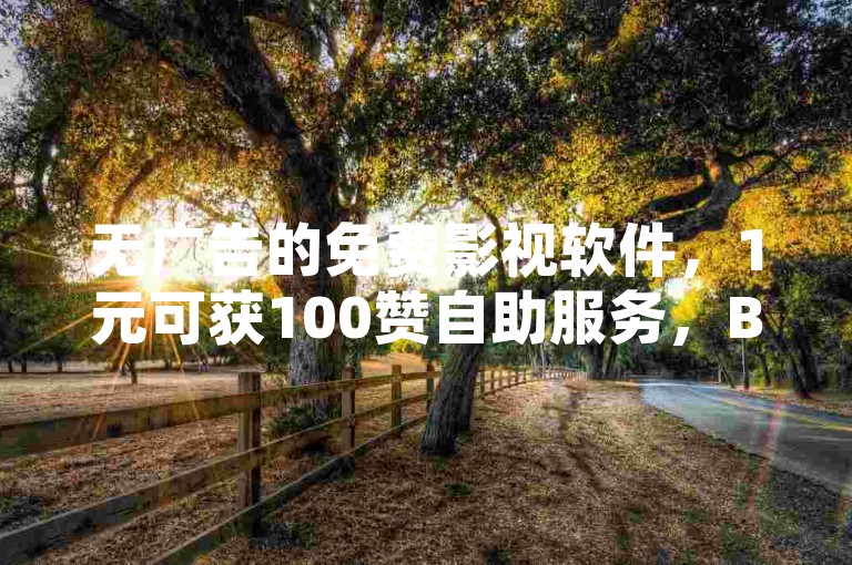 无广告的免费影视软件，1元可获100赞自助服务，B站粉丝下单优惠，空间说说还能免费领网址。