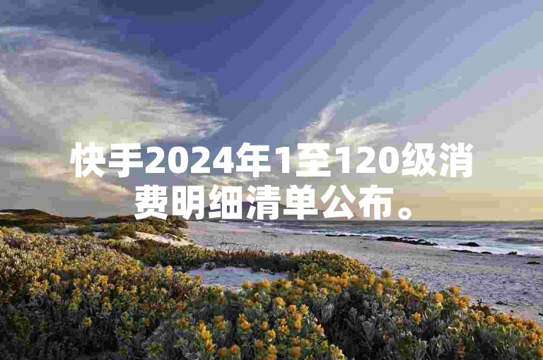 快手2024年1至120级消费明细清单公布。