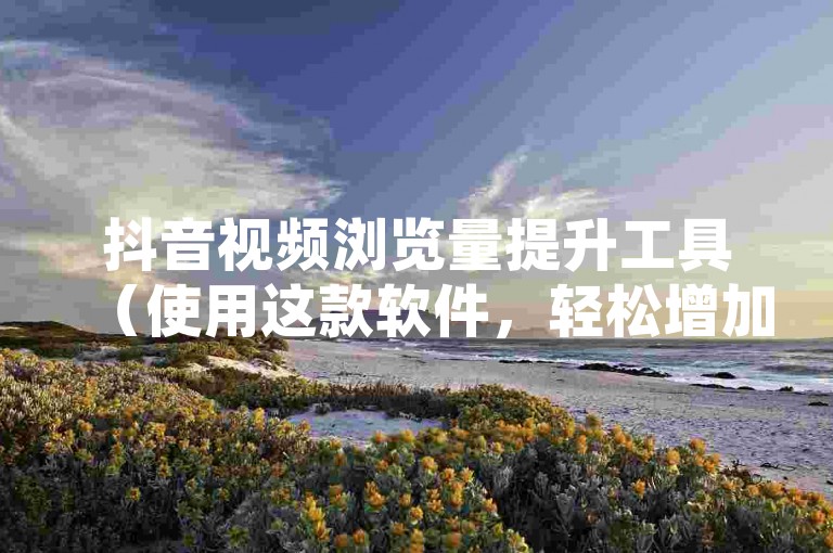 抖音视频浏览量提升工具（使用这款软件，轻松增加你的点赞数）