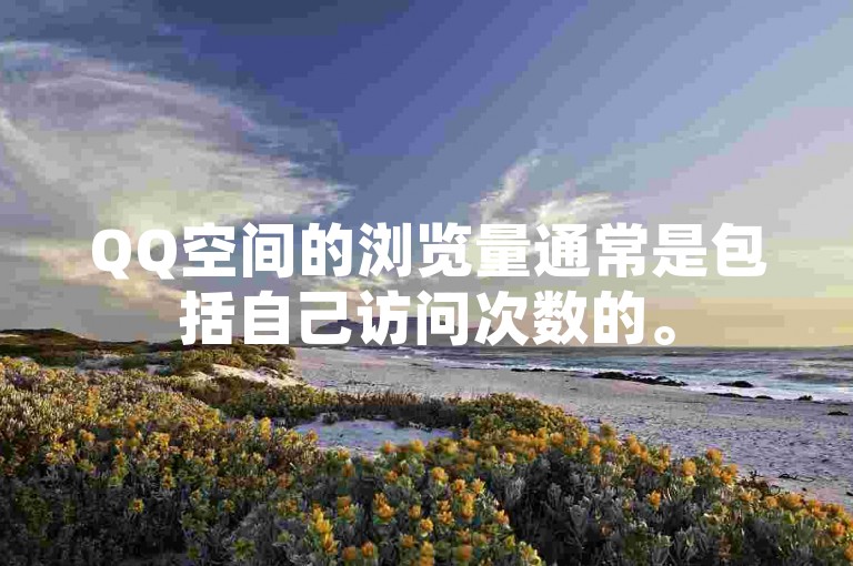QQ空间的浏览量通常是包括自己访问次数的。