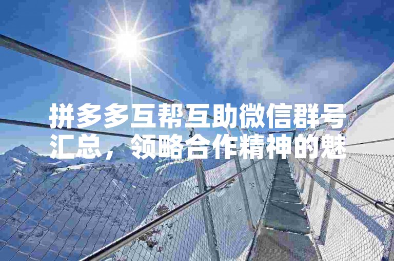拼多多互帮互助微信群号汇总，领略合作精神的魅力。
