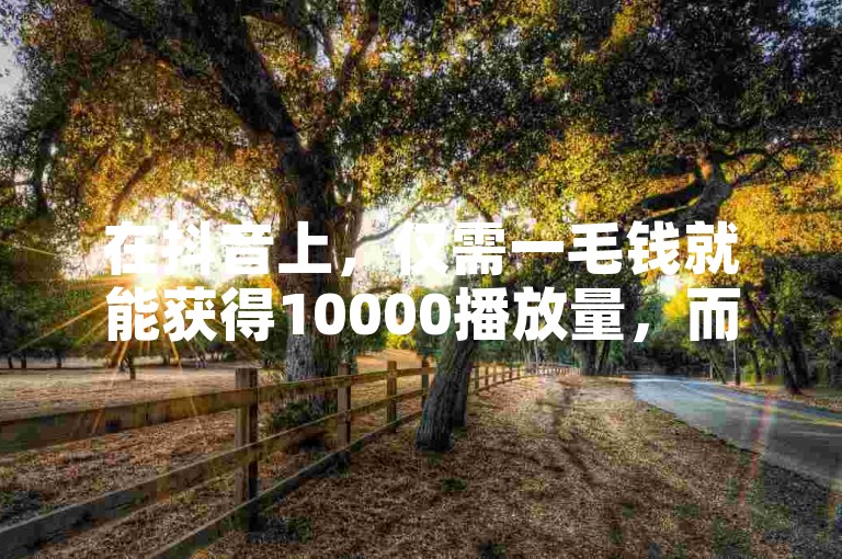 在抖音上，仅需一毛钱就能获得10000播放量，而快手业务网站卡盟也提供类似的服务。