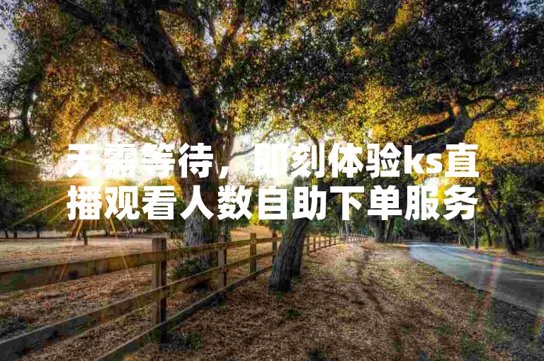 无需等待，即刻体验ks直播观看人数自助下单服务，24小时随时为您服务。