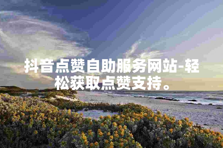 抖音点赞自助服务网站-轻松获取点赞支持。