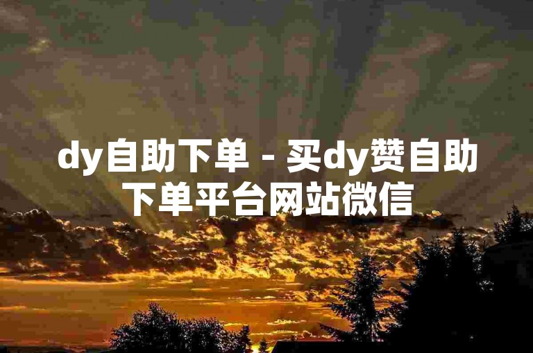 dy自助下单 - 买dy赞自助下单平台网站微信